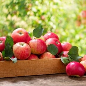 Beneficiile consumului de mere. De ce este recomandat să le incluzi în dieta ta