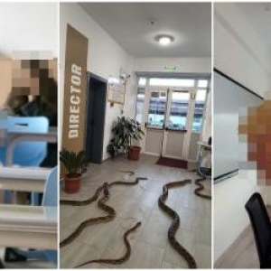 Elevii din Focșani şi-au speriat profesorii cu o maimuță creată cu AI. Gluma i-ar putea costa scump