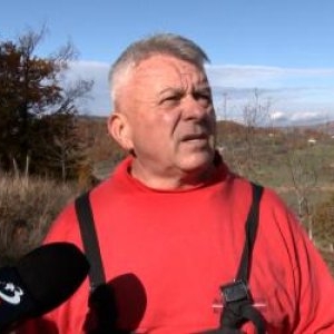Fructul care a devenit o marfă rară. Miezul se vinde cu 50-55 de lei kilogramul