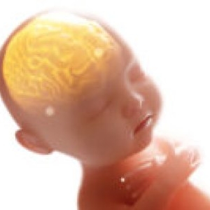 Unde locuiește Mario Iorgulescu. Fiul președintelui LPF a fugit din țară acum 6 ani, după ce a provocat un accident teribil