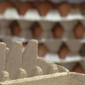 Au dispărut ouăle din magazine sau au preț dublu. Fermierii le trimit la export