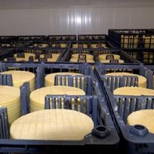 Brânza românească celebră în lume. A fost premiată cu aur la un celebru concurs gastronomic din Elveţia