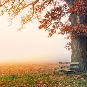 Prognoza meteo 4 decembrie. Vreme mai caldă decât normalul perioadei, ceață și vânt puternic în unele zone