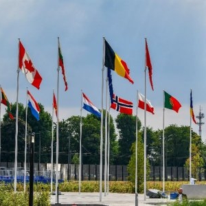 Anul în care Europa ar trebui să preia majoritatea capabilităților NATO, conform Pentagonului
