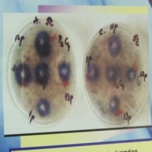 Val de conspiraţii după cazurile de lepră din Cluj. Informaţii false că oamenii sunt aduşi în secret la spital