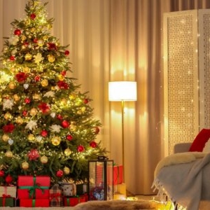 Cum recunoști un brad tăiat de mai multe zile. Regulile pentru a rezista până după Crăciun