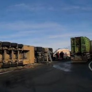 TIR încărcat cu aproape 200 de porci, răsturnat pe un drum din Cluj