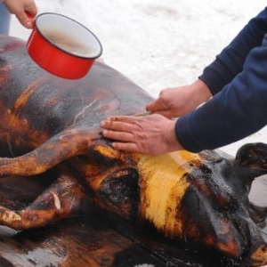 Tradiții de Ignat: Ce să faci și ce să porți pentru un an norocos și prosper