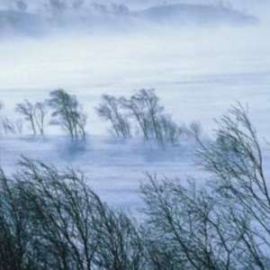 Alertă ANM: Cod Roșu de vânt în județul Cluj. Rafale de 120 km/h