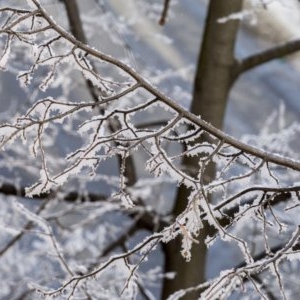 Alertă de călătorie de la MAE. O țară aflată în apropierea României se confruntă cu cod portocaliu de ploi torențiale și ninsori abundente