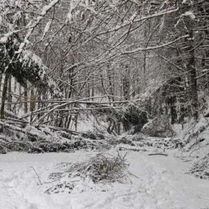 Hunedoara, sub efectele ninsorilor abundente: avarii la rețeaua electrică în cinci localități 