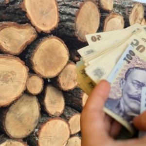 Iarna sărăciei la sat. Bătrânii stau în frig pentru că lemnele sunt mult prea scumpe -VIDEO 