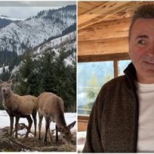 Turist, după ce ajunge la crescătoria de cerbi din Suceava: "Așa ceva nu știu dacă mai este undeva în ţară"
