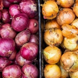 Cum să alegi cea mai proaspătă ceapă. Sfaturi esențiale și utile