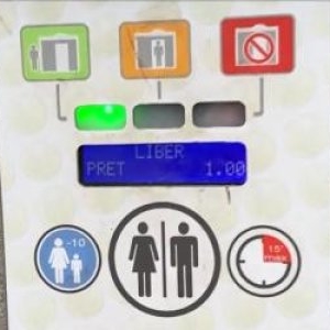 Oraşul care a cumpărat toalete la preţ de garsonieră le schimbă. Cele noi costă "doar" cât o maşină