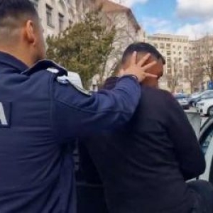 Militarul care a călcat intenţionat şi a omorât un câine a fost reţinut. Câţi ani de închisoare riscă