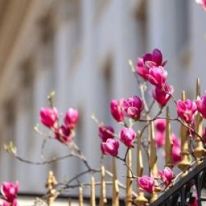 Cum va fi vremea în luna aprilie. Prognoza meteo pe următoarele patru săptămâni