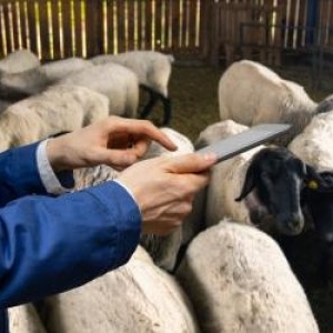 Salariul e aproape 2.400 €, dar nimeni nu vrea această meserie. Angajatorii sunt disperați