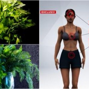 Leuşteanul, mărarul, pătrunjelul şi roşiile din pieţe duse la laborator. "Surprizele" nocive descoperite