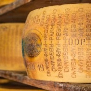 Banca din Italia unde brânza ține loc de bani. Mii de roți de Parmigiano Reggiano, garanţie pentru credite