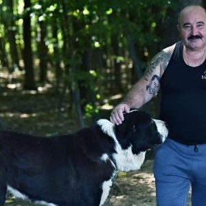 Cum arată vila lui Nuțu Cămătaru din Ferentari. Imagini cu proprietatea unde cresc canguri, cămile și cai de competiție