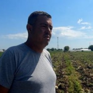 Leguma care a ajuns simbolul risipei în România. Fermierii o aruncă pe câmp, magazinele vând din import