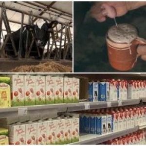 De ce fermierii vând laptele cu 70 de bani litrul, iar în magazine ajunge la peste 5 lei