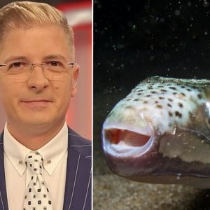 Cum arată mușcătura de pește-iepure, pericolul de pe litoralul grecesc 😮 Prezentatorul TV Marius Niță a publicat o imagine cu rana provocată de această specie / FOTO