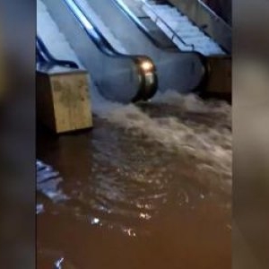Surse: Caz de infectare cu Legionella la Metrorex după inundații. Angajaţii, îndemnați să meargă la Matei Balş