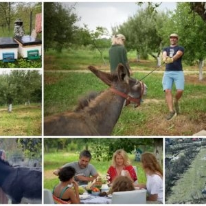 Dragoş Bucur şi Dana Nălbaru, anunţ la după doi ani după ce s-au mutat la ţară