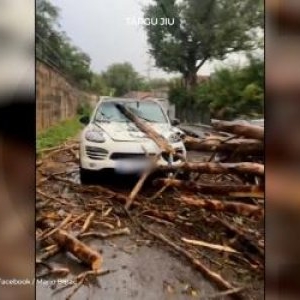 Cântăreţ celebru, la un pas să fie strivit de copac, în maşină. "Uitaţi cum era să mor"