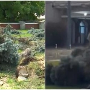 Oraşul din România măturat de vijelie. Oamenii s-au baricadat în case, vântul a smuls copaci şi acoperişuri