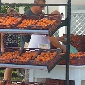 Fructul care duce România în topul producătorilor din UE. Cu cât se vinde un kilogram