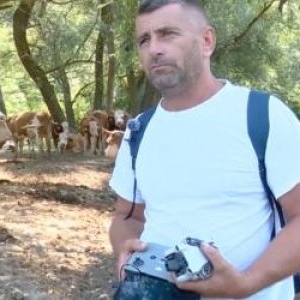 A dat 3.000 de lei pe o dronă și a înlocuit doi muncitori. Cum își păzește un fermier vitele din aer