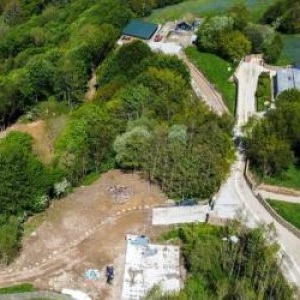 O pădure veche de 500 de ani, defrişată ilegal pentru turişti. "Rechinul" imobiliar a primit o lovitură grea