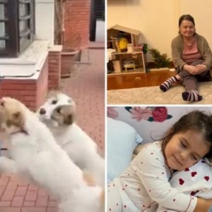 Cum arată casa lui Codin Maticiuc în care stă cu soția, cei trei copii și cu părinții. Vila este impunătoare, plină de obiecte de artă și mobilă în stil clasic / GALERIE FOTO