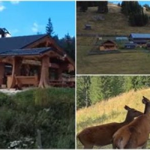 Afacerea de familie născută la 1.200 de metri altitudine în Bucovina. Astăzi, turiștii urcă muntele pentru ea