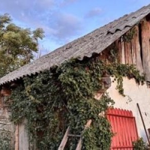 Satul în care o casă cu 2 camere se vinde cu 5.500 de euro. Preţul e negociabil cu o condiţie