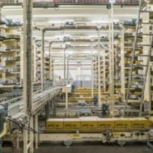 O nouă fabrică se deschide în România. Gigantul olandez are putea angaja 250 de muncitori