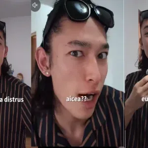 „Cum mi-a <<distrus>> România mentalitatea de japonez: punctualitatea s-a dus, papanașii au rămas” - VIDEO VIRAL