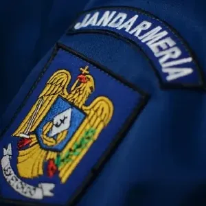 Caz incredibil în România. Un bărbat decedat apare ca șofer în 122 de transporturi de lemn