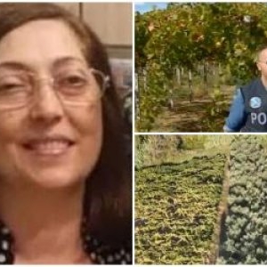 Ce s-a întâmplat în ultimele ore din viața Mariei, românca găsită spânzurată de un măslin în Italia