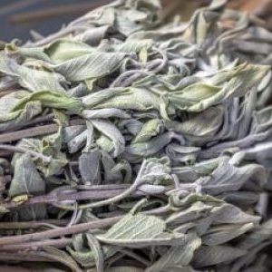 Planta minune care susține sănătatea oaselor și ajută digestia. De ce trebuie consumată cu prudență