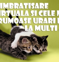 Felicitare draguta de la multi ani