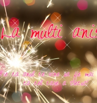 Felicitare Revelion artificii