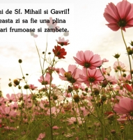 Felicitare Mihai si Gavril cu floricele