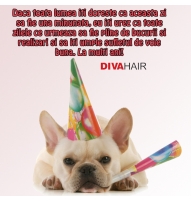 Felicitare Sfantul Mihail si Gavril catel simpatic