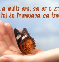 Felicitare zi de nastere frumoasa 