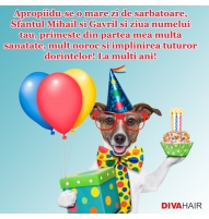Felicitare amuzanta Sfantul Mihail si Gavril