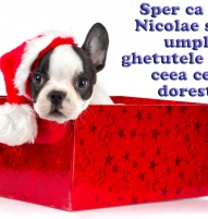 Felicitare cu catelus cadou de SFANTUL NICOLAE